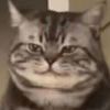 粱猿萍岸