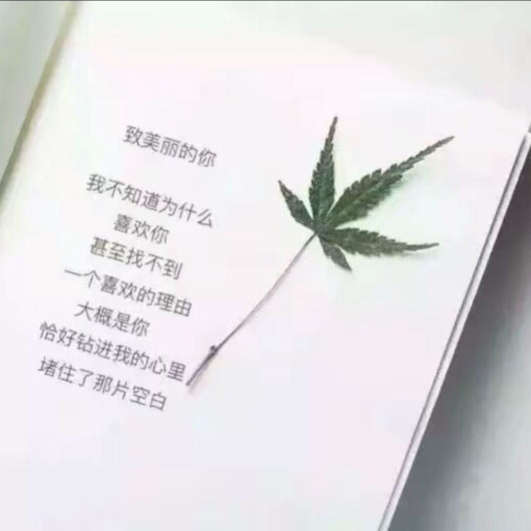 白粥先森