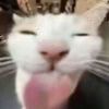 呼吸Hooxi