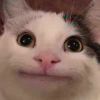 ♀＠(￣-￣