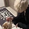 user12526439的头像-iPA资源站
