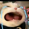 user40495829的头像-iPA资源站