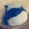 比虚无更飘渺