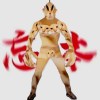 AAA母猪产后护理马哥、搞钱的头像-iPA资源站