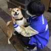lins134679的头像-知原理