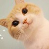 默。_440