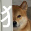 摆烂_850