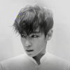 小宋Y