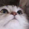 Ambiti_326