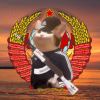 沛公