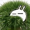 独身