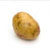 potato_15