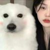 俱欢颜
