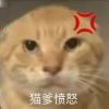 赮