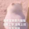 初见安好