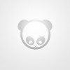 Bear-神仙论坛