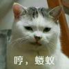 先想想你配么