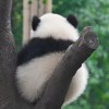 稳稳的幸福_511