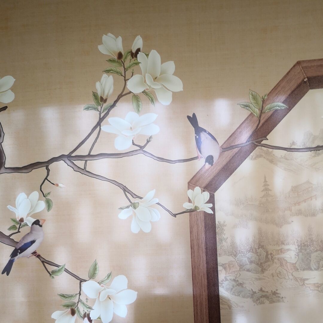 女摄影师在深圳