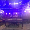 张大官人、