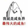 咸鱼般的咸鱼