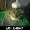 用户73618044的头像-七玩网