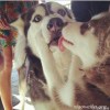 Steven_786