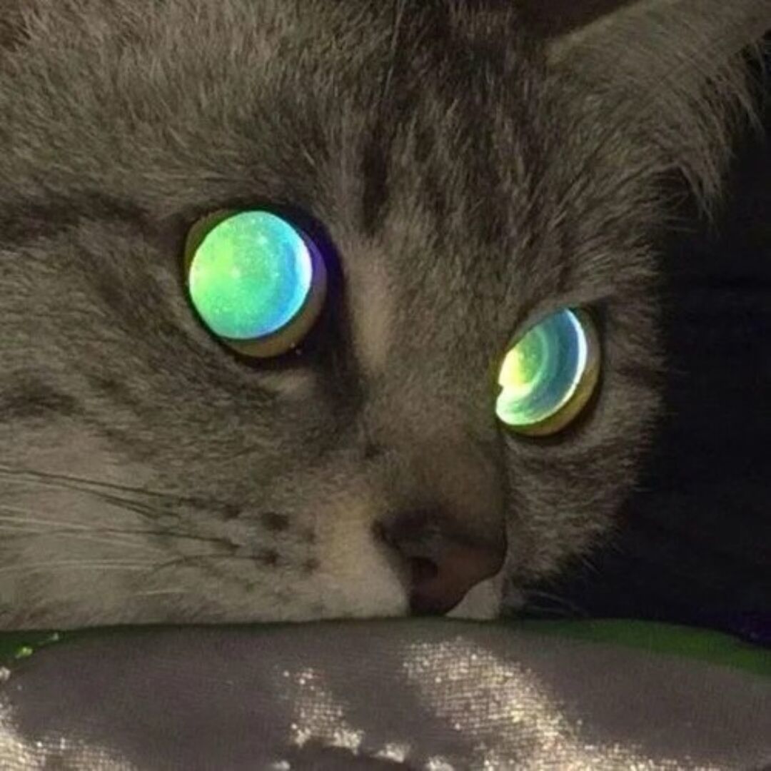 人_453