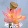 eason123的头像 - 极核GetShell
