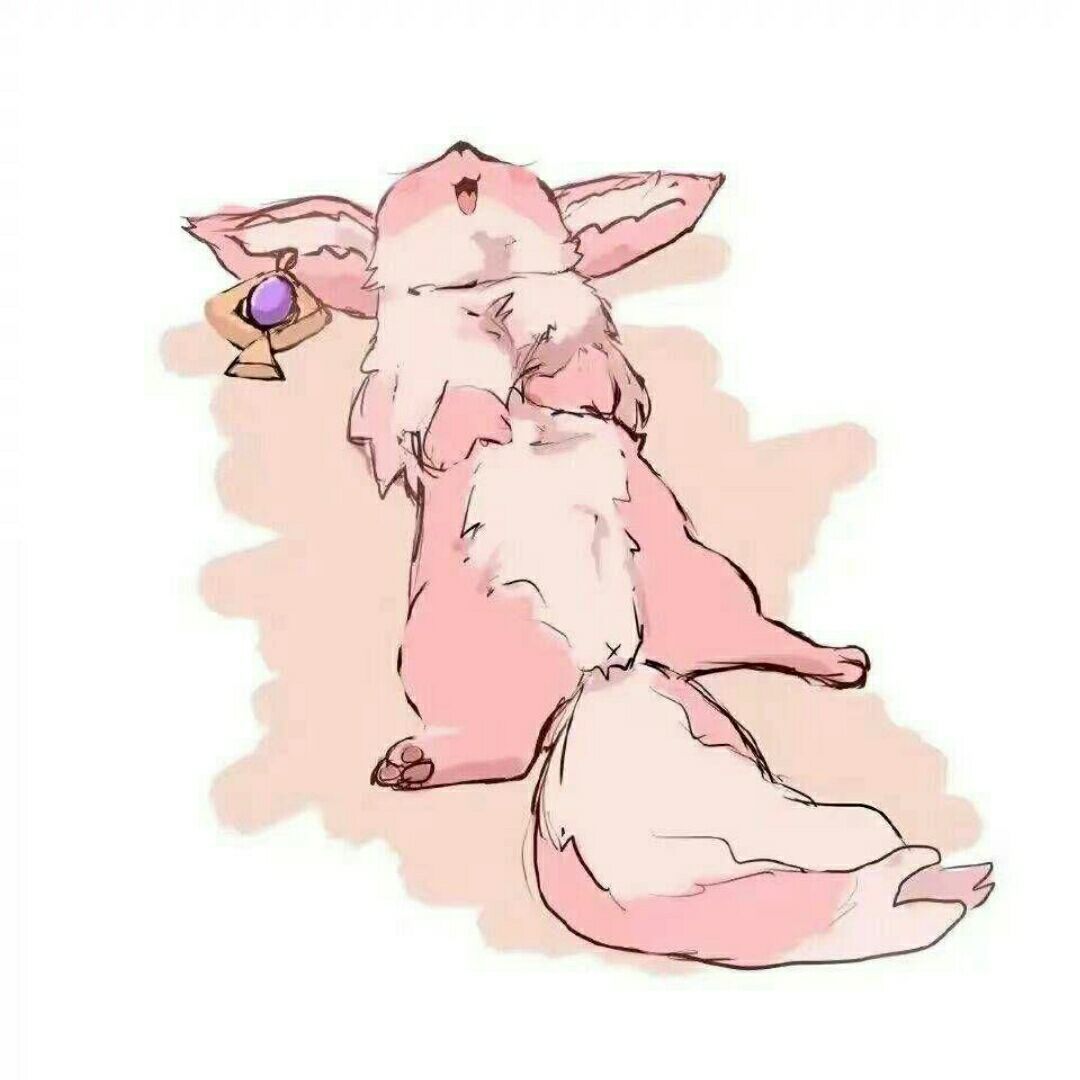 粉红色的狐