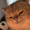 →_→_150