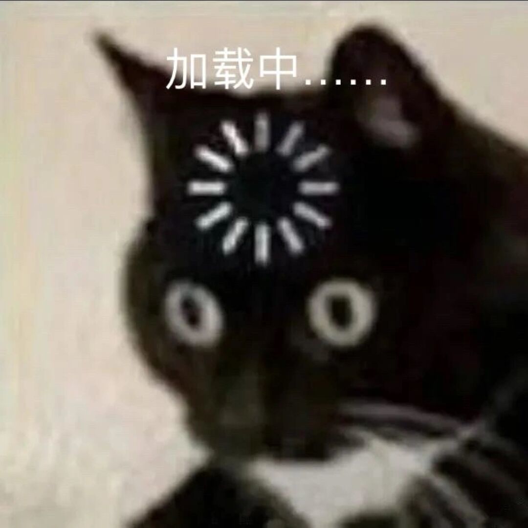 七只猫