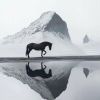 山川的头像-WordPress主题模板-zibll子比主题