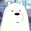 北北北极熊！