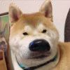 啊暖.