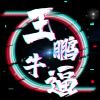 王鹏的头像-zibll子比社区