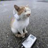 心如止水_918
