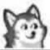 husky_617