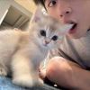 爱吃糖心花生