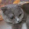 Aerx