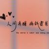 清欢-云言博客
