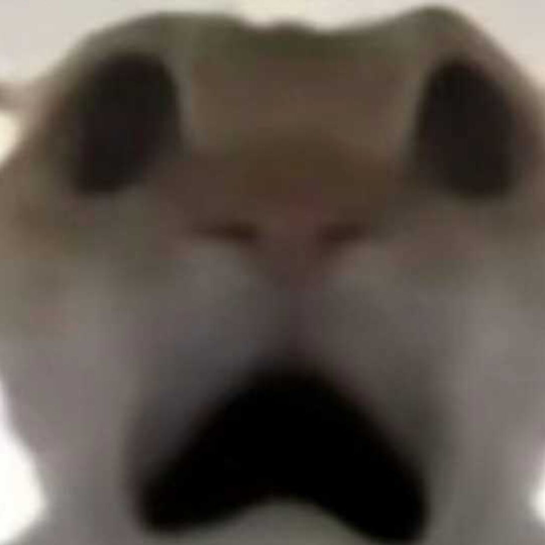霾
