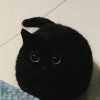 此安