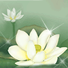 『一缕阳光』的头像-博士钣金 - www.bsbanjin.com