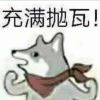 尘心_301