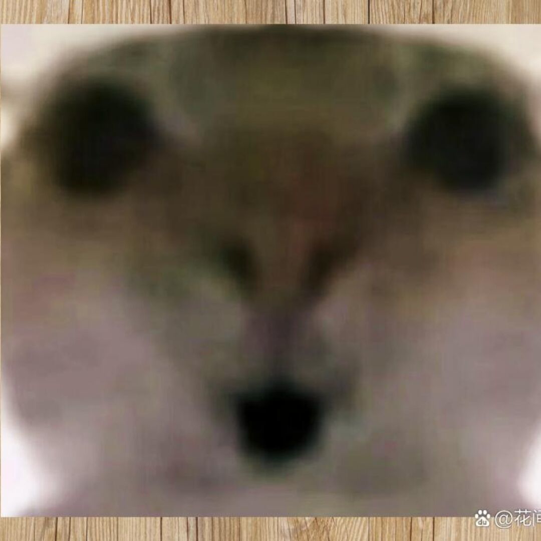 深藏