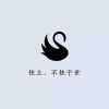 昨夜星辰昨夜