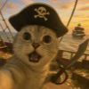 TOM_735
