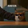 老鼠