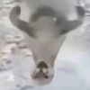 可桑
